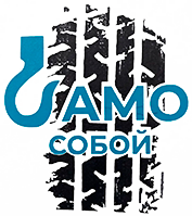 Само собой логистик